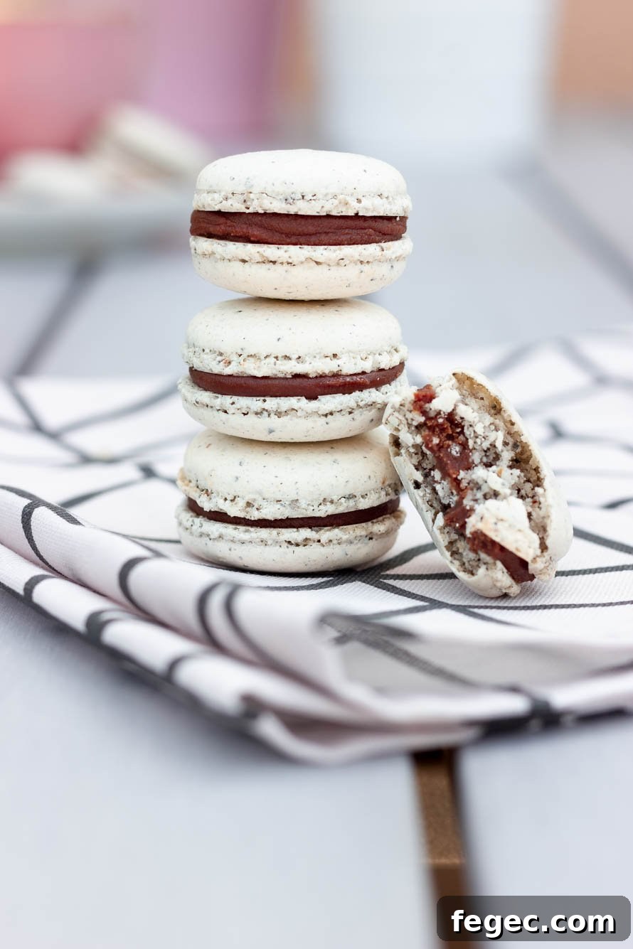 Macarons black sesame and cappuccino chocolate