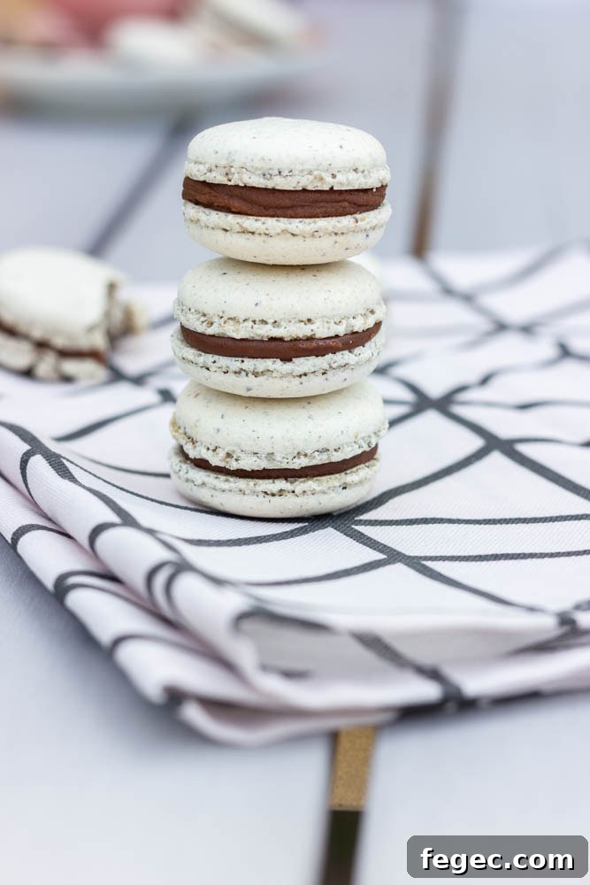 Macarons close-up