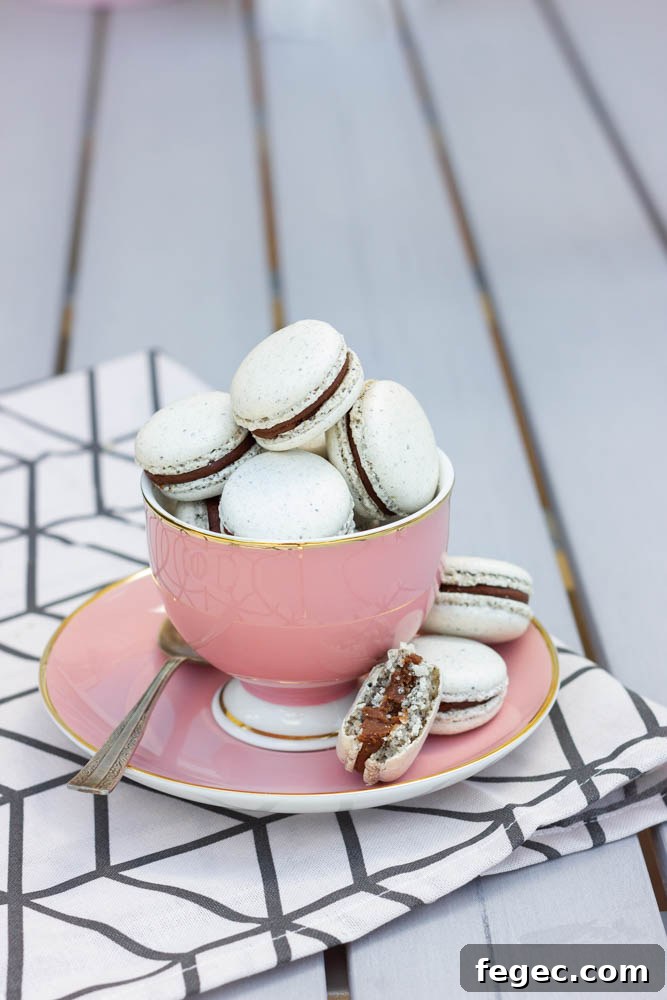 Assorted macarons