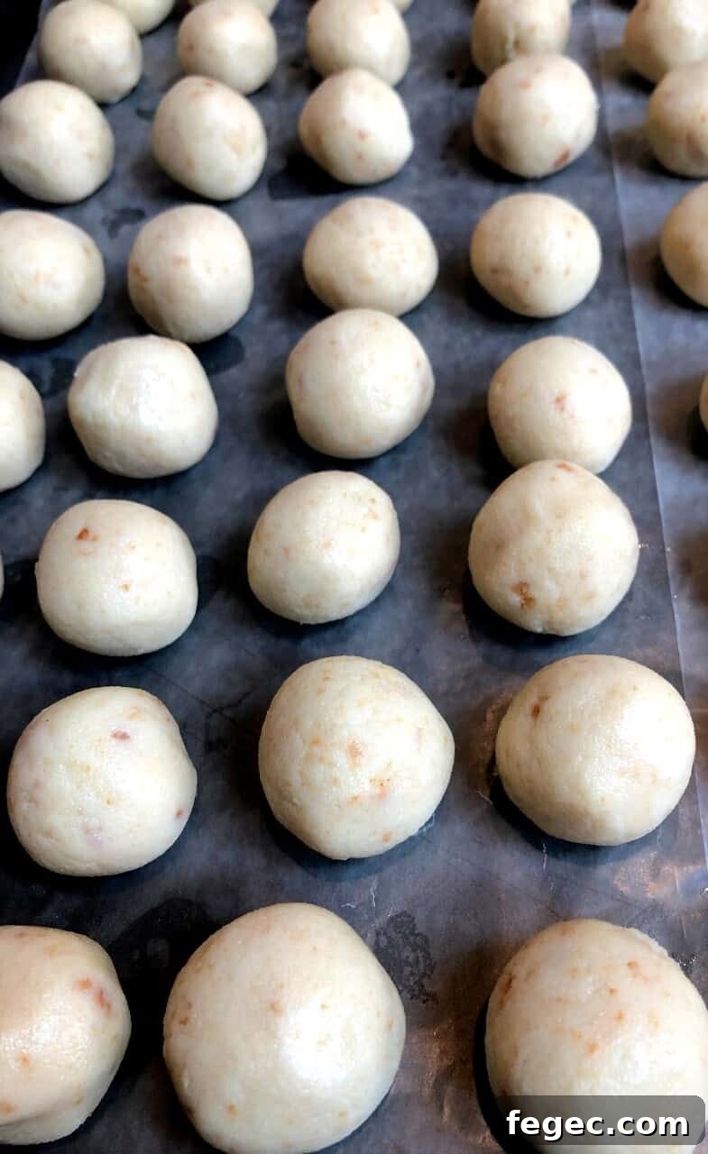 Perfect Cake Balls: Simple No-Bake Party Treats 6 rolled cake bites before candy coating.