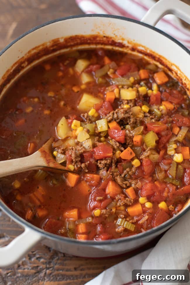 flavorful vegetable soup