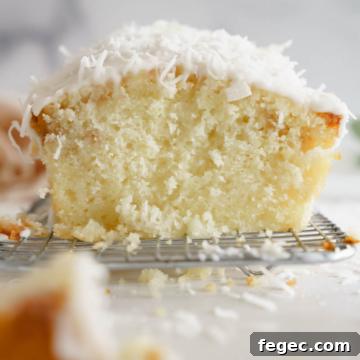 Coconut Loaf Cake