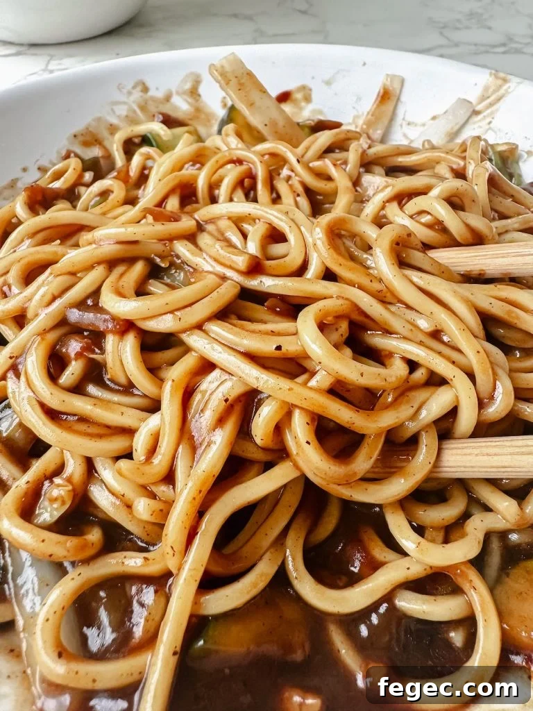 Vegan jajangmyeon korean black bean noodles