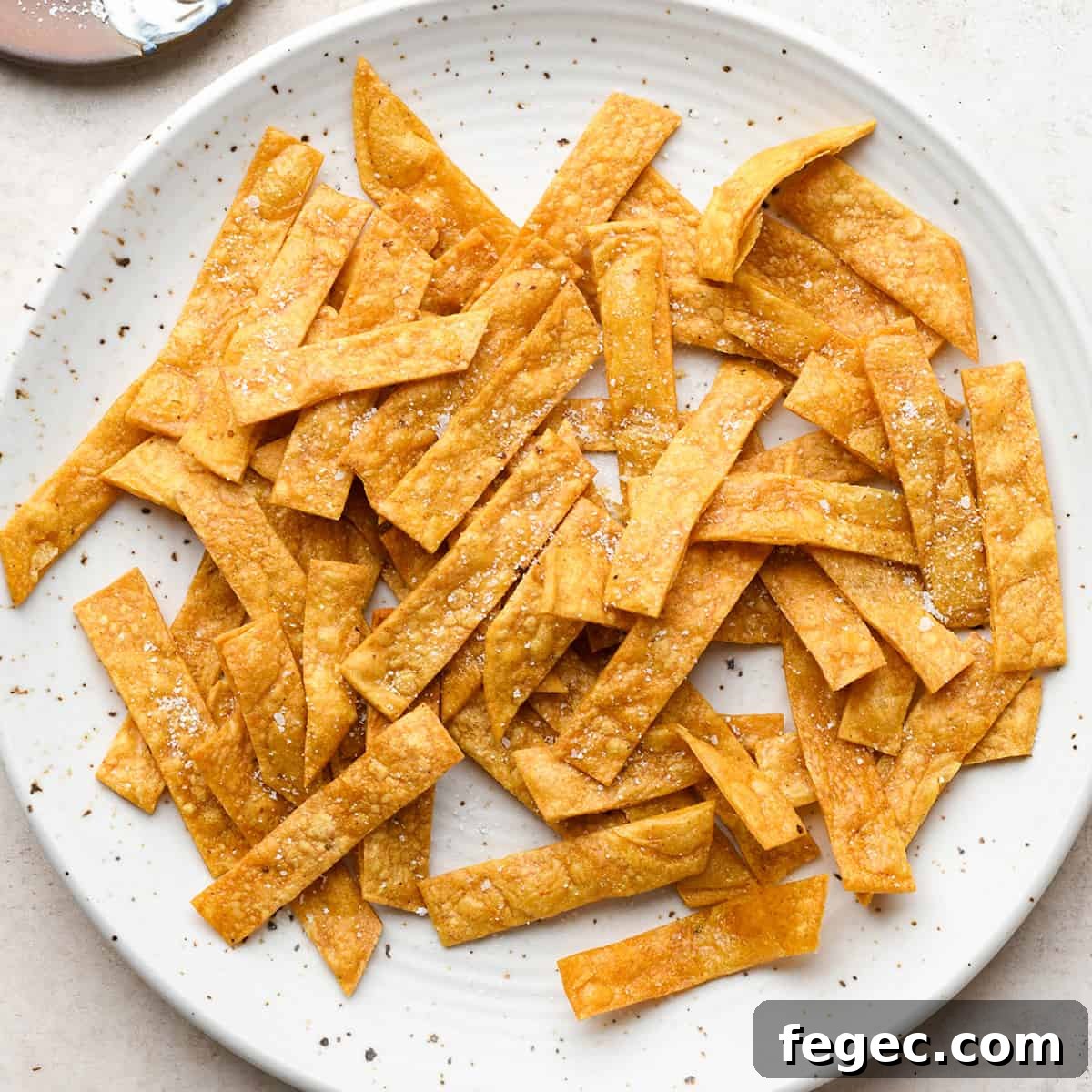 a plate of Homemade Tortilla Strips