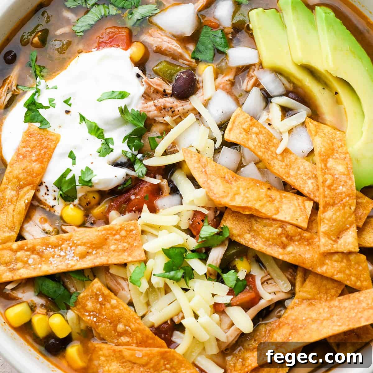 Homemade Tortilla Strips on top of chicken tortilla soup