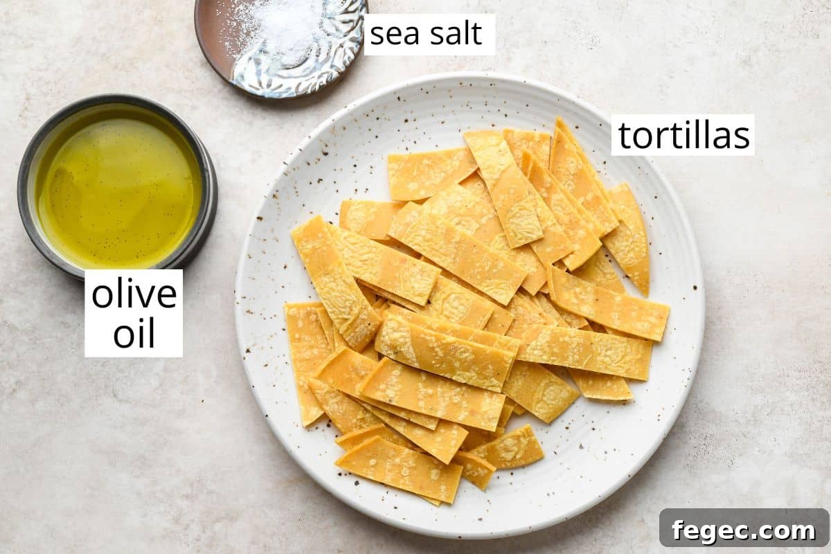 overhead photo of the ingredients in this Homemade Tortilla Strips Recipe