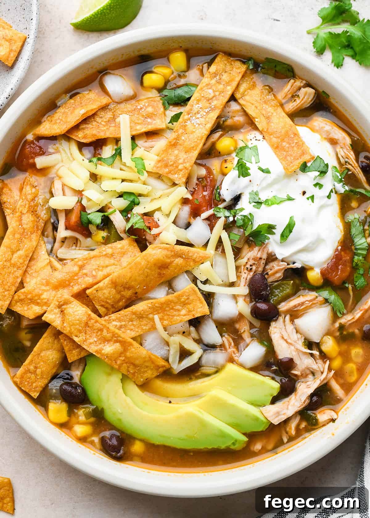 Homemade Tortilla Strips on top of chicken tortilla soup