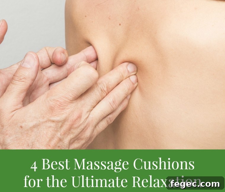 best massage cushions
