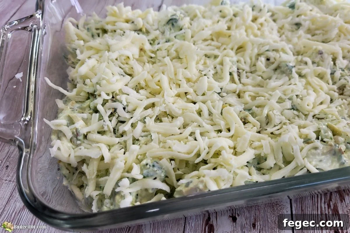 top dip with shredded mozzarella cheese