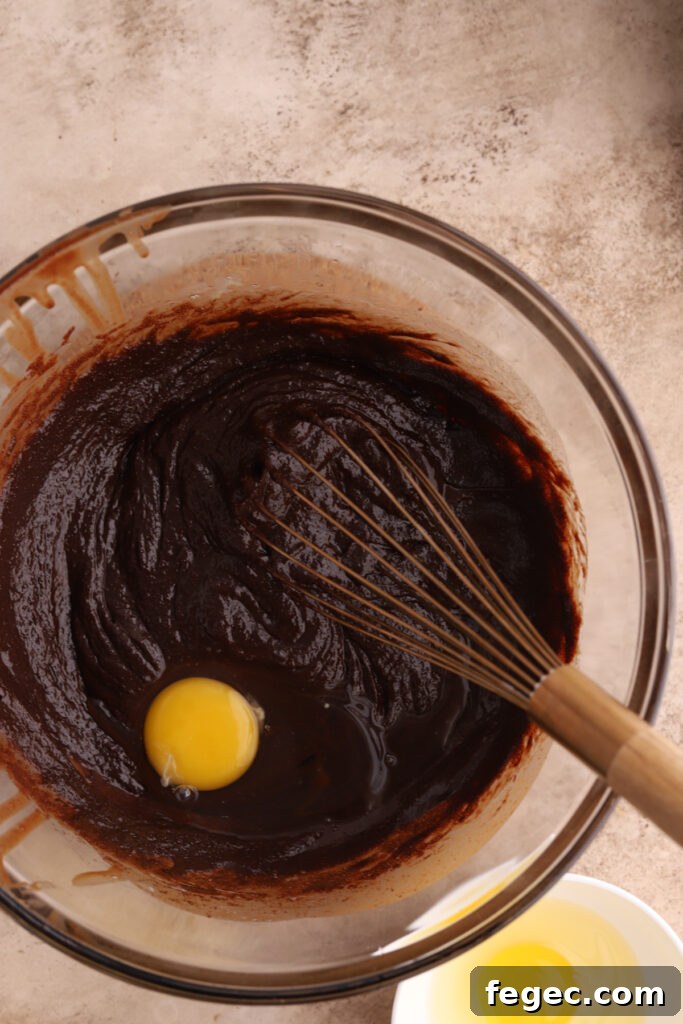 An egg in a bowl of chocolate batter with a whisk.