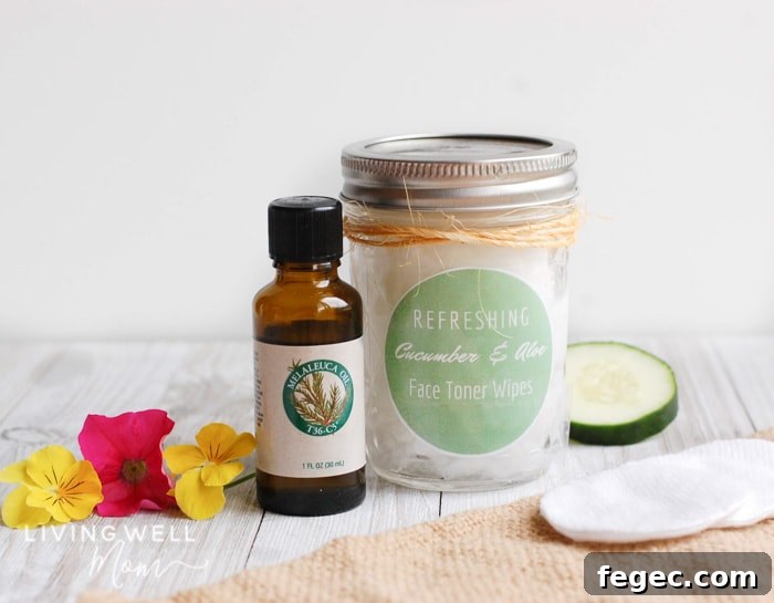 cucumber homemade face toner wipes with tea tree oil