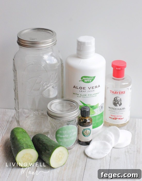ingredients for toner with aloe vera including cucumbers, essential oils, witch hazel, and aloe vear