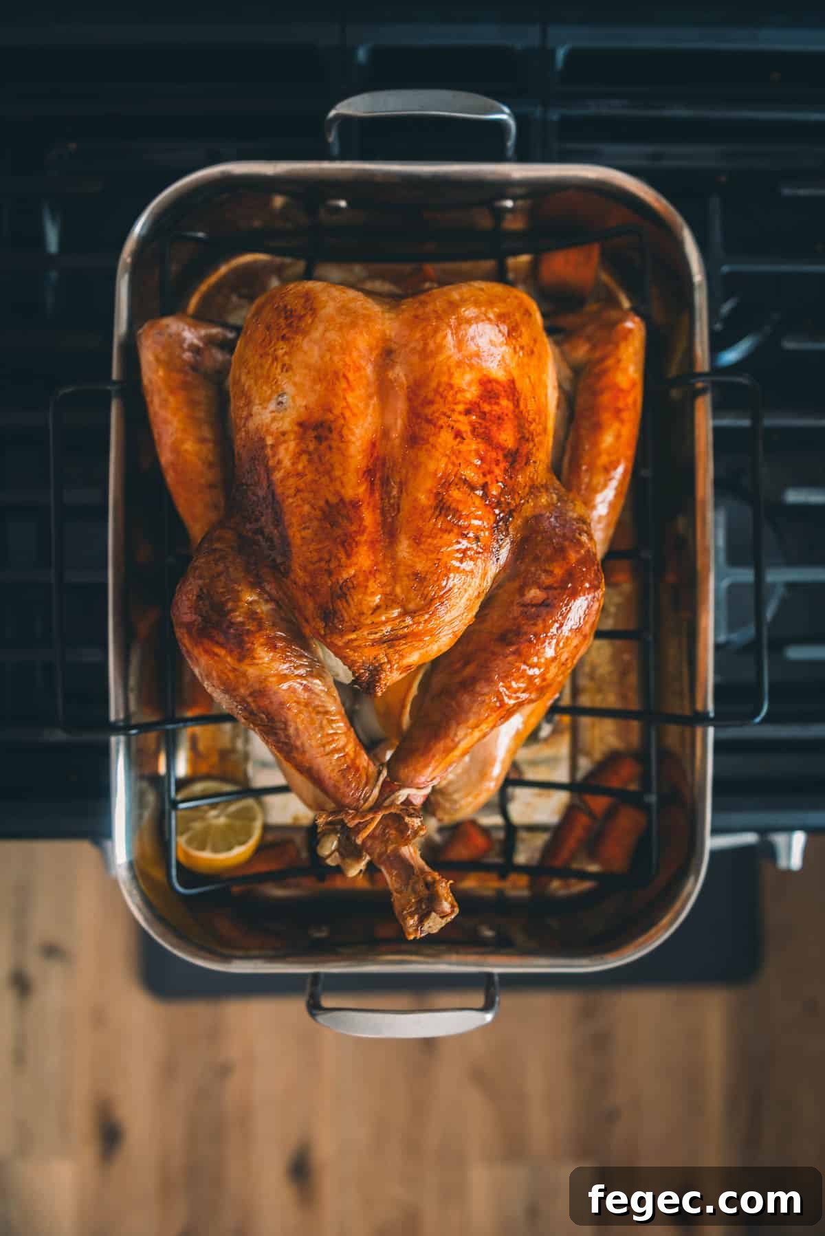 Roast turkey right from the oven with beautiful golden brown skin.