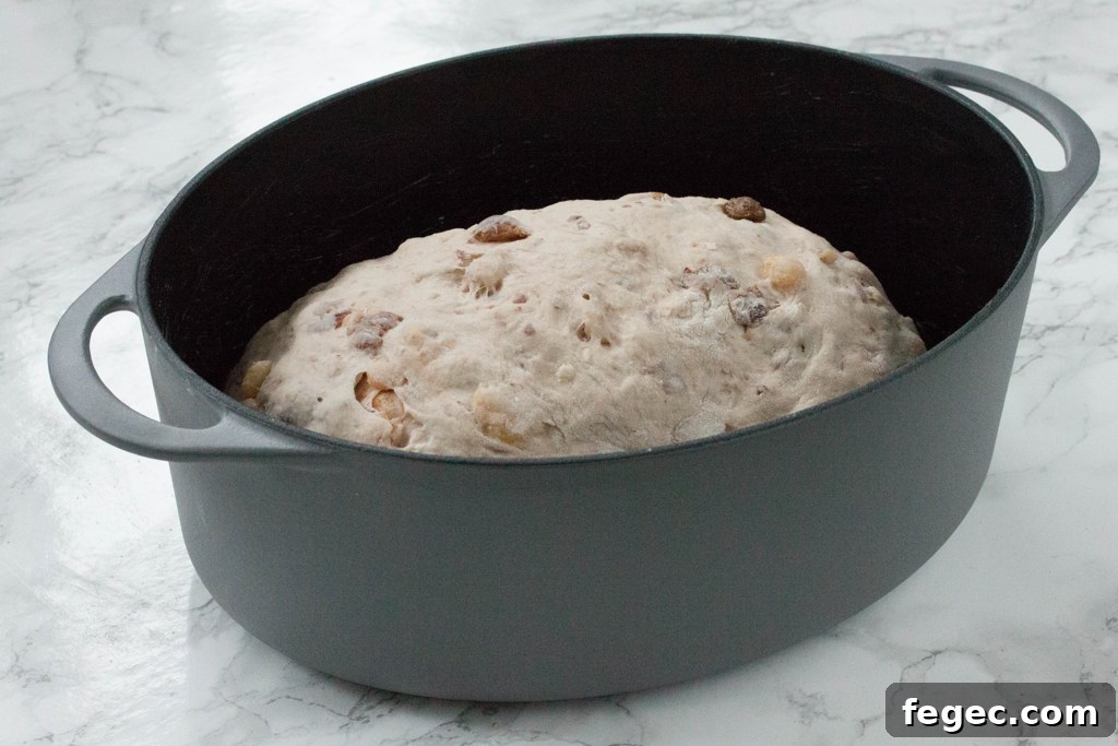 Rustic Raisin Bread