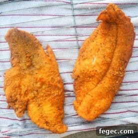 two fried catfish filets on a red and white towel