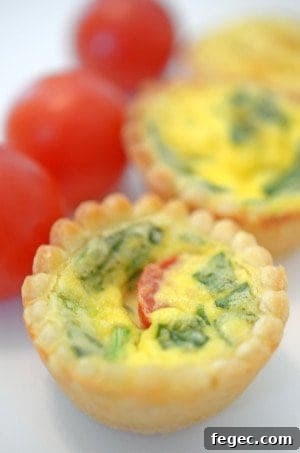 A close-up of food.