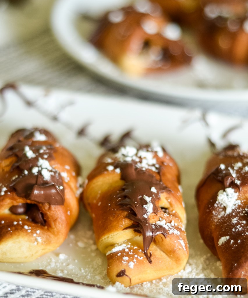 Air Fryer S'mores Crescent Roll Recipe for Gooey Dessert 6 air fryer s'mores crescent rolls