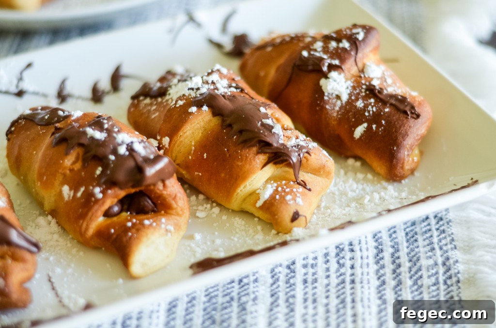 Air Fryer S'mores Crescent Roll Recipe for Gooey Dessert 7 air fryer s'mores crescent rolls