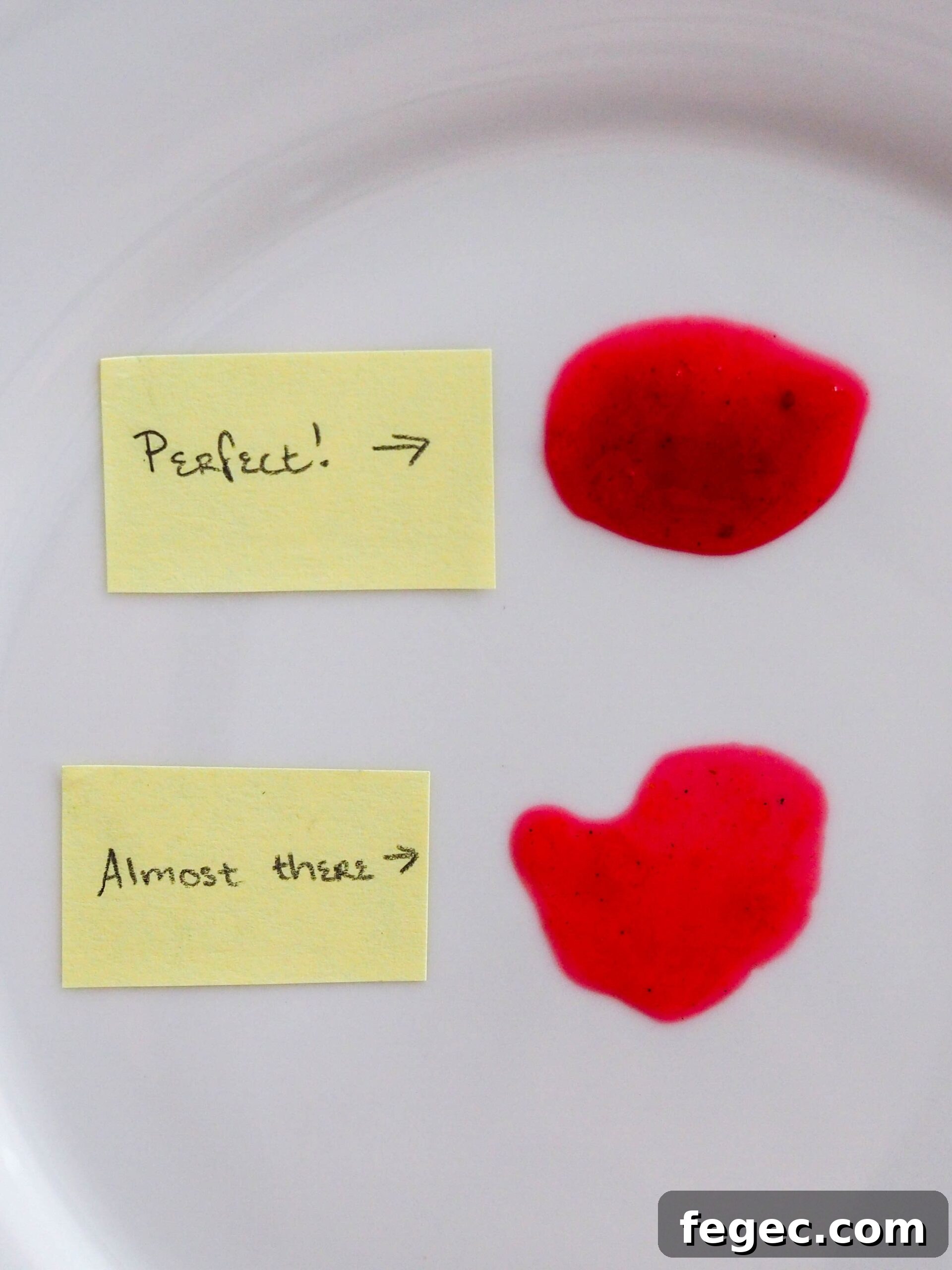 Two dabs of cranberry sauce on a plate; the top one is largely circular while the bottom one has started to drip.