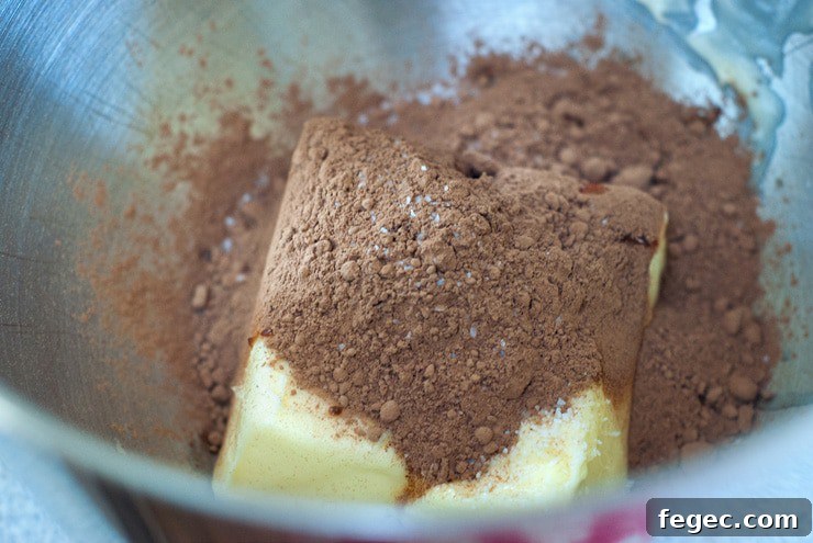Chocolate cake mix with butter in a silver mixing bowl.