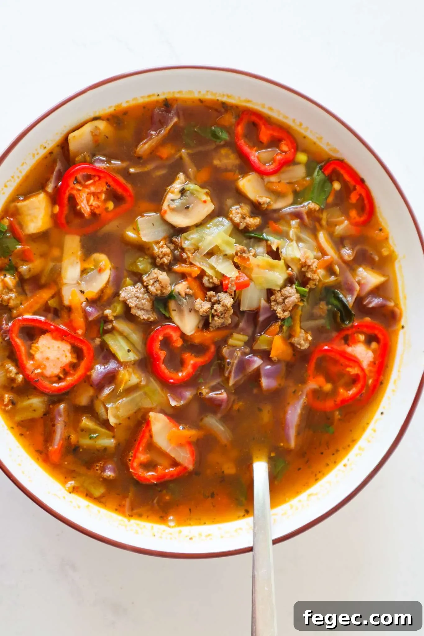 cabbage beef soup