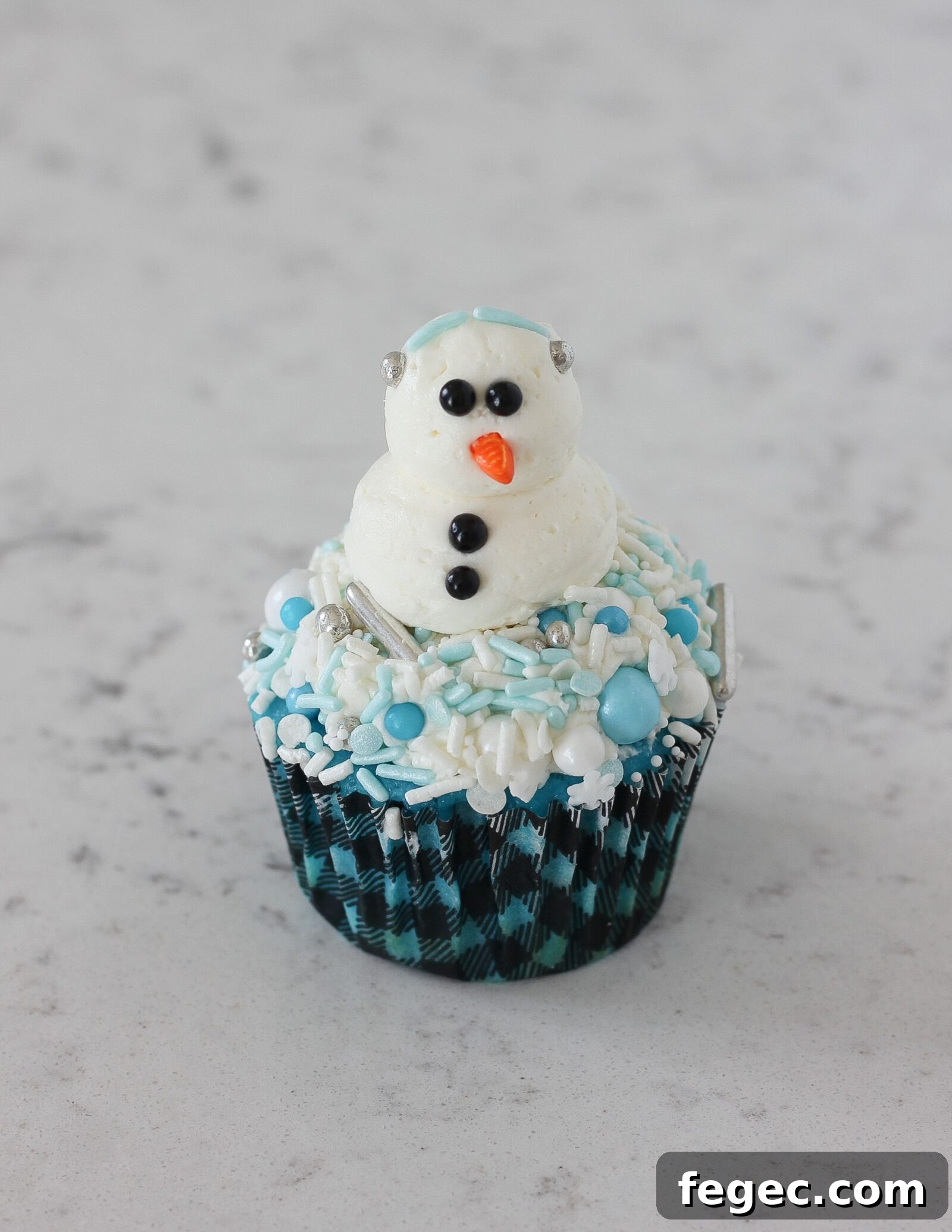 Snowman face details
