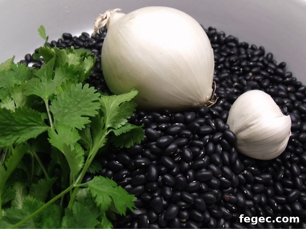 black beans cilantro onion garlic black beans cilantro onion garlic