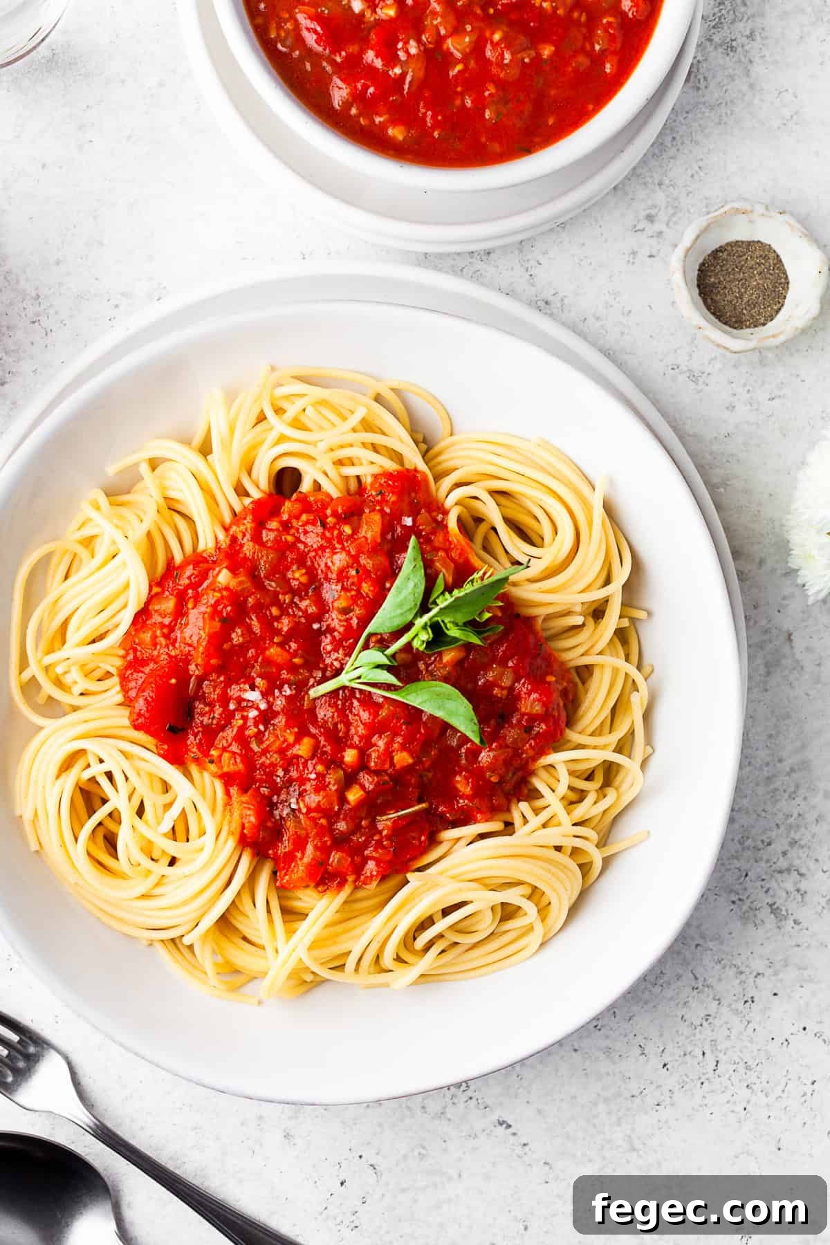 Spicy Tomato Sauce over pasta with fresh basil.