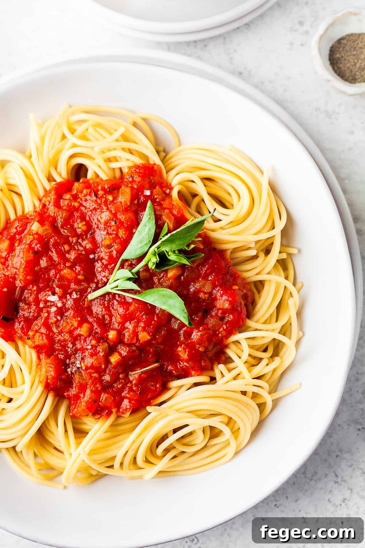 Spicy Tomato Sauce spooned over pasta.