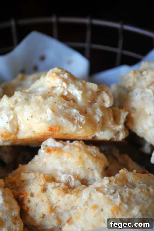 Cheddar Herb Biscuits - made with a recipe from Gina Neely at the Food Network.