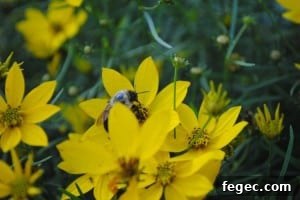 flowers in a flower garden