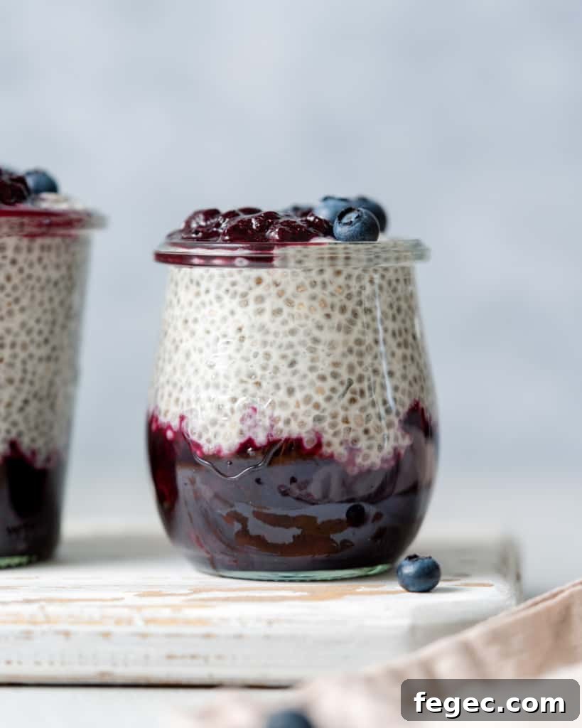 side shot of blueberry chia pudding in a jar topped with fresh blueberries