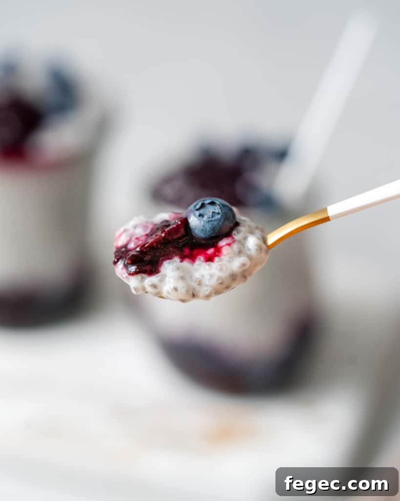 Spoonful of coconut chia pudding with a blueberry on top.