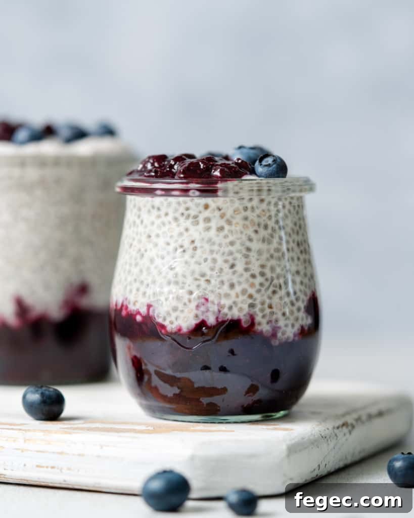 side shot of blueberry chia pudding in a jar topped with blueberries