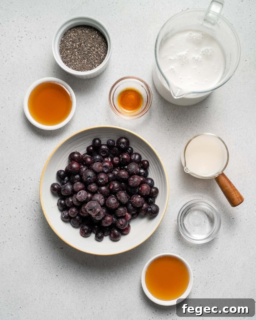 Blueberries, milk, honey, chia seeds and vanilla divided into small portions.