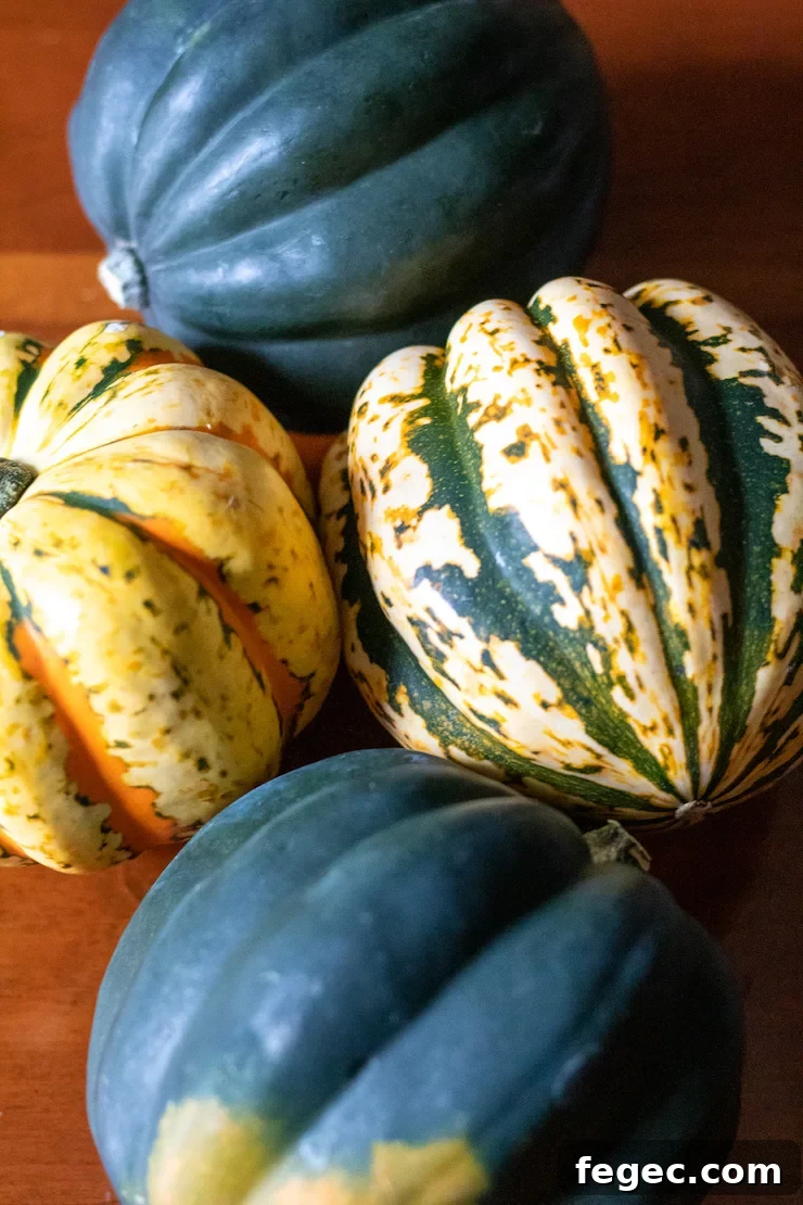 Herbed Turkey Stuffed Acorn Squash Recipe for Fall Dinner 4 Winter acorn squash varieties.