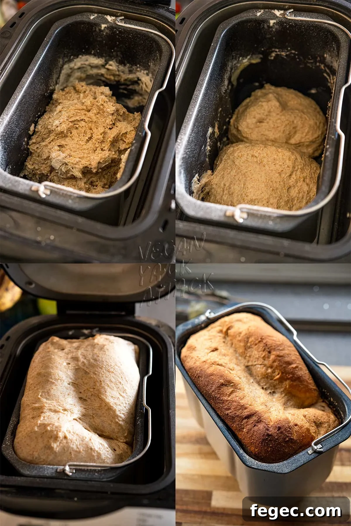 image collage of steps in bread maker process