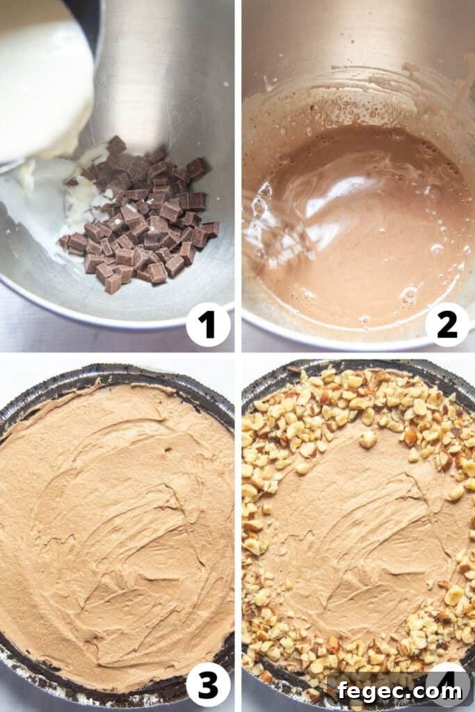 Chocolate Hazelnut Ice Cream Pie Chocolate Hazelnut Ice Cream Pie