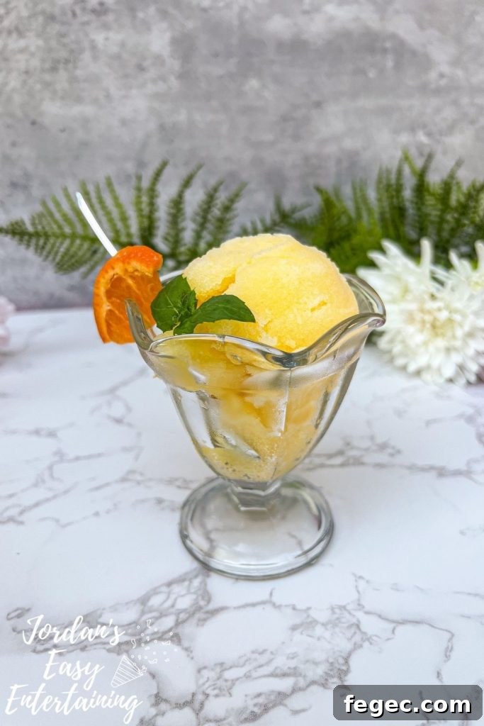 Homemade Orange Sorbet Recipe with Fresh Citrus Flavor 2 a mini sundae glass willed with a homemade orange sorbet recipe