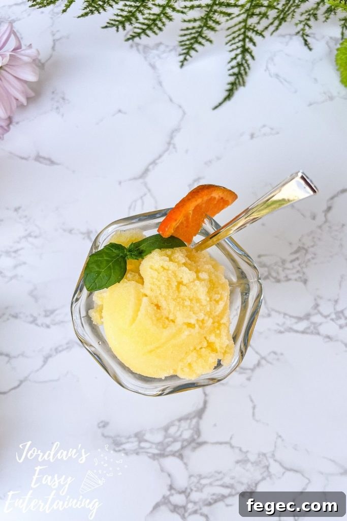 Homemade Orange Sorbet Recipe with Fresh Citrus Flavor 3 a bowl of homemade orange sorbet as a refreshing summer frozen dessert
