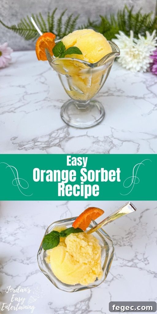 Homemade Orange Sorbet Recipe with Fresh Citrus Flavor 9 easy orange sorbet recipe image for pinterest