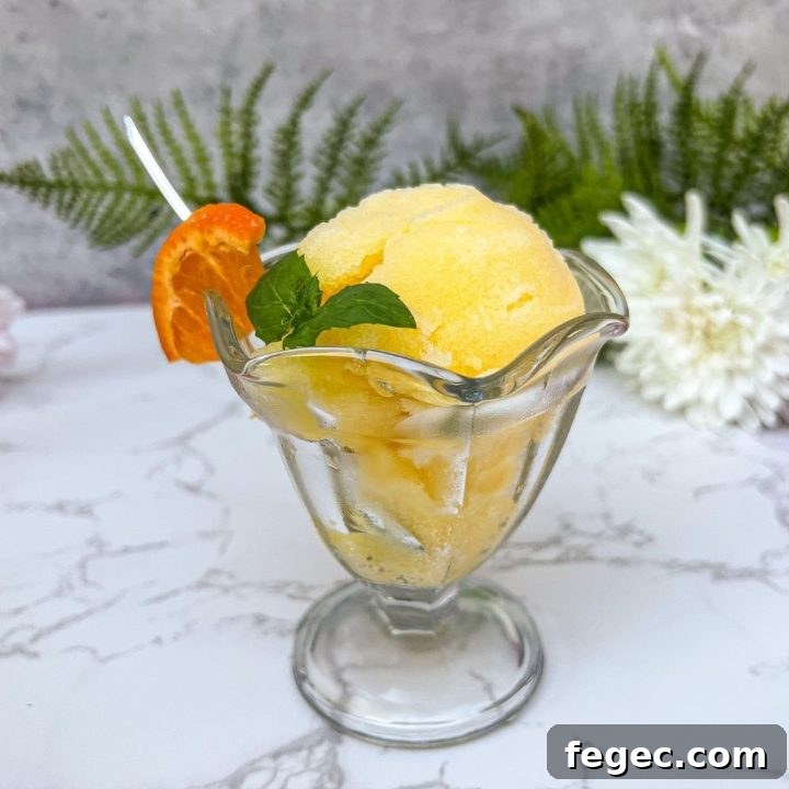 a mini sundae glass willed with a homemade orange sorbet recipe