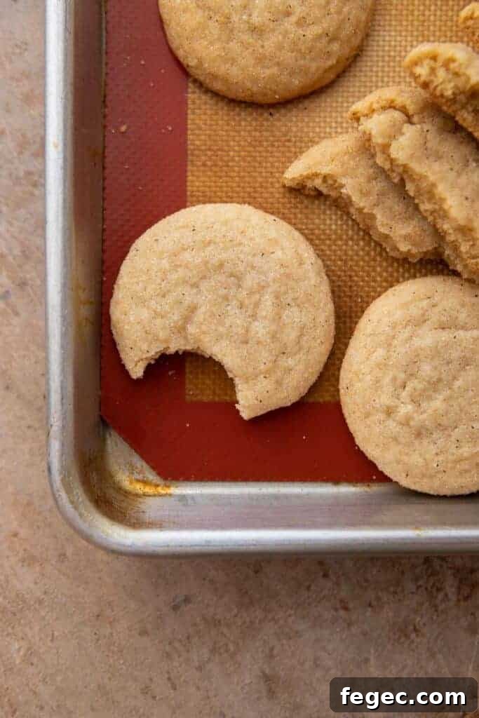 Soft Honey Cookies Recipe for Chewy, Melt-in-Your-Mouth Cookies 11 Chewy honey cookie with a bite taken out of it