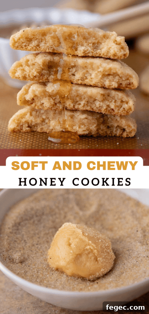 Soft Honey Cookies Recipe for Chewy, Melt-in-Your-Mouth Cookies 13 Chewy honey cookies