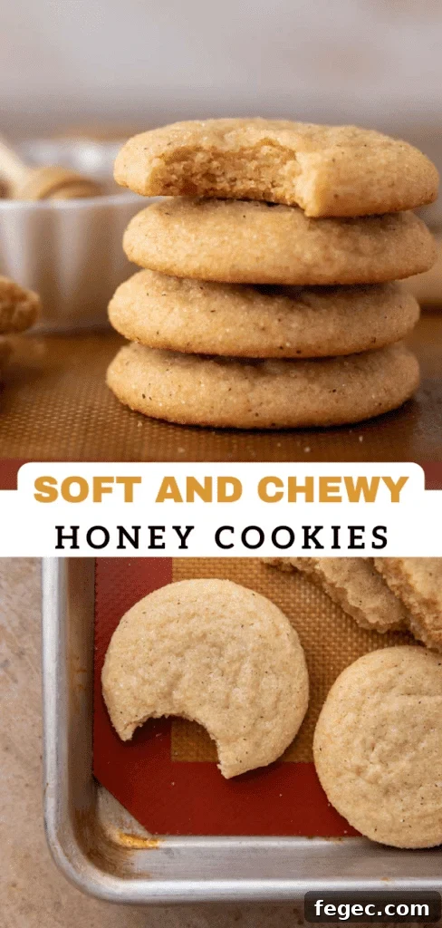 Soft Honey Cookies Recipe for Chewy, Melt-in-Your-Mouth Cookies 14 Chewy honey cookies