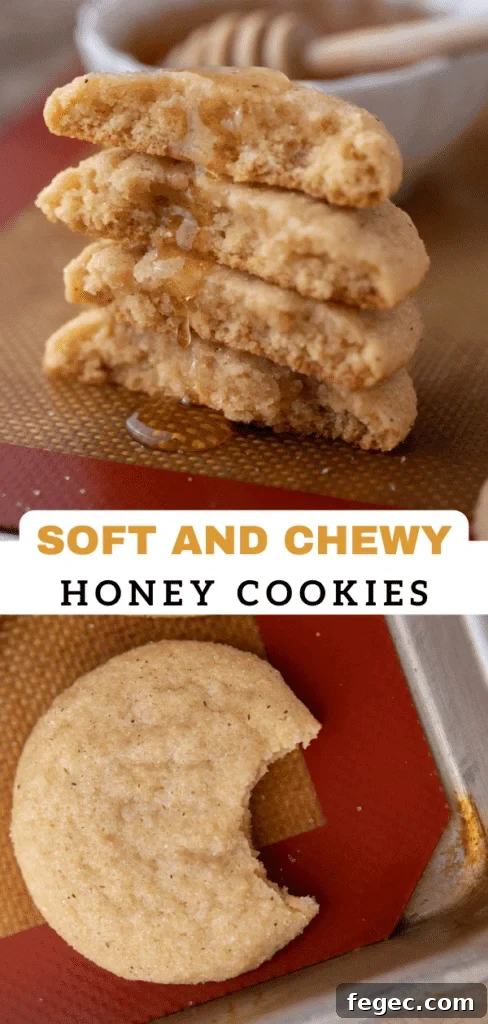 Soft Honey Cookies Recipe for Chewy, Melt-in-Your-Mouth Cookies 15 Chewy honey cookies