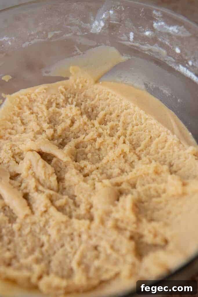 Soft Honey Cookies Recipe for Chewy, Melt-in-Your-Mouth Cookies 7 Cookie dough in a bowl