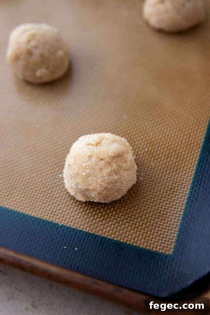 Soft Honey Cookies Recipe for Chewy, Melt-in-Your-Mouth Cookies 9 Chewy honey cookie dough ball
