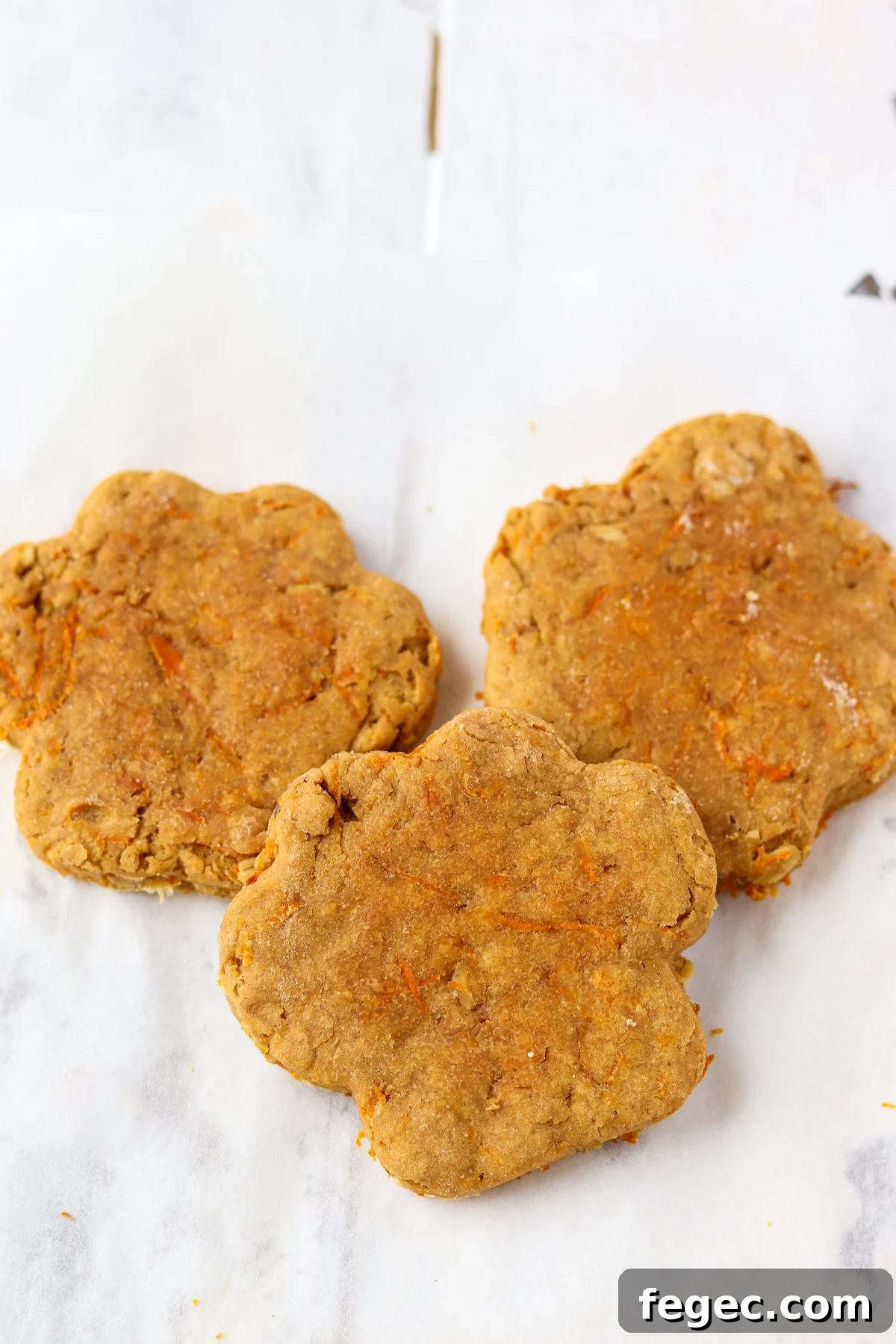 Peanut Butter and Carrot Dog Treats