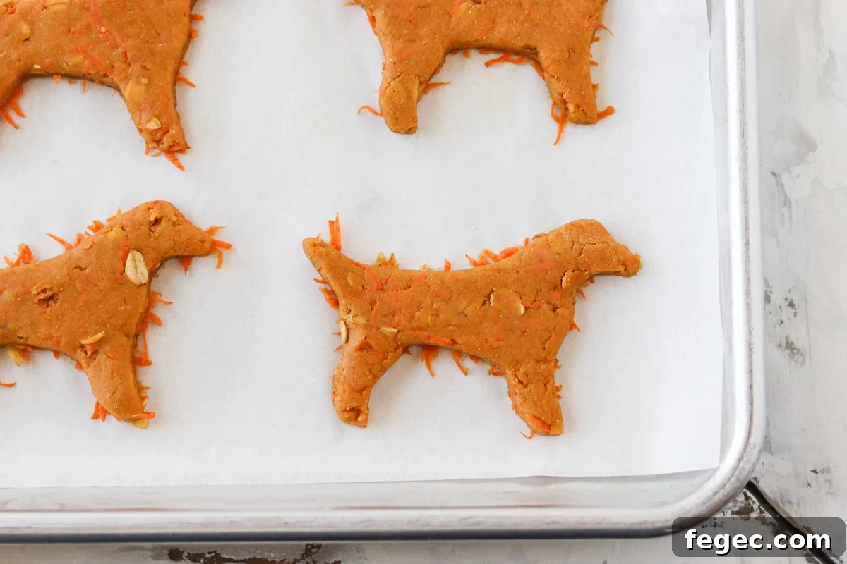 Peanut Butter Carrot Dog Treats